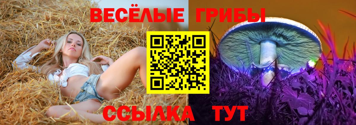Псилоцибиновые грибы прущие грибы Городец